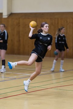 Bild 223 - wBJ TSV Ellerau - HSG Stoertal Hummeln : Ergebnis: 26:19